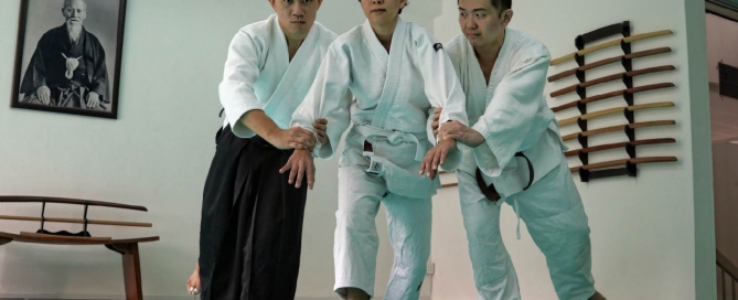 Aikido Seniors