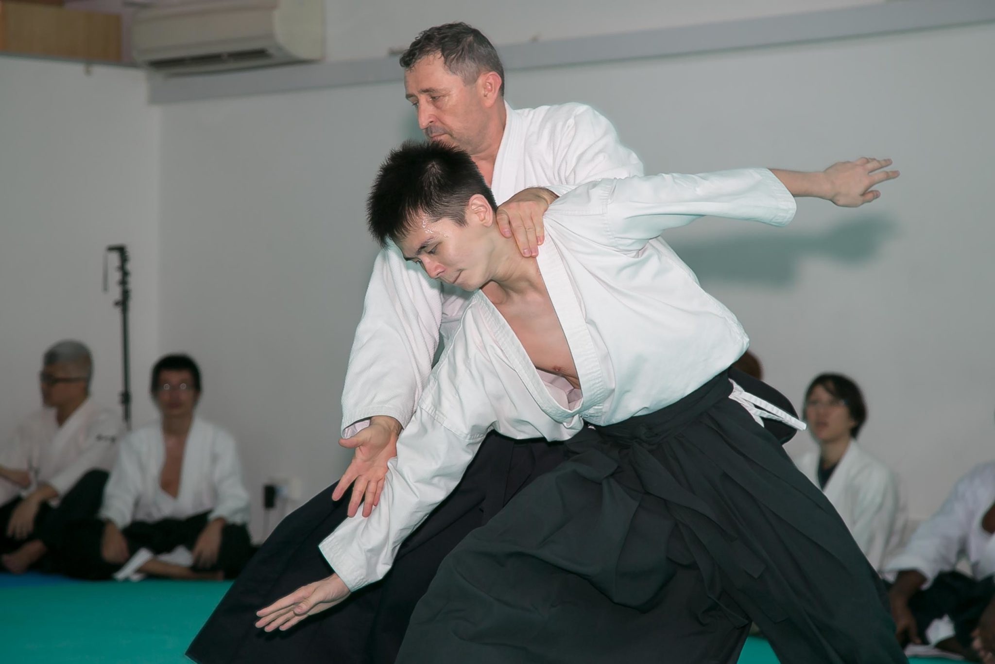 Serge Beraud Aikido Iriminage