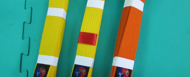 Grading Belts